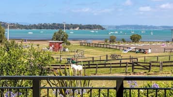 A coastal view with a fenced area, a white horse, and boats in the water.