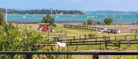 A coastal view with a fenced area, a white horse, and boats in the water.