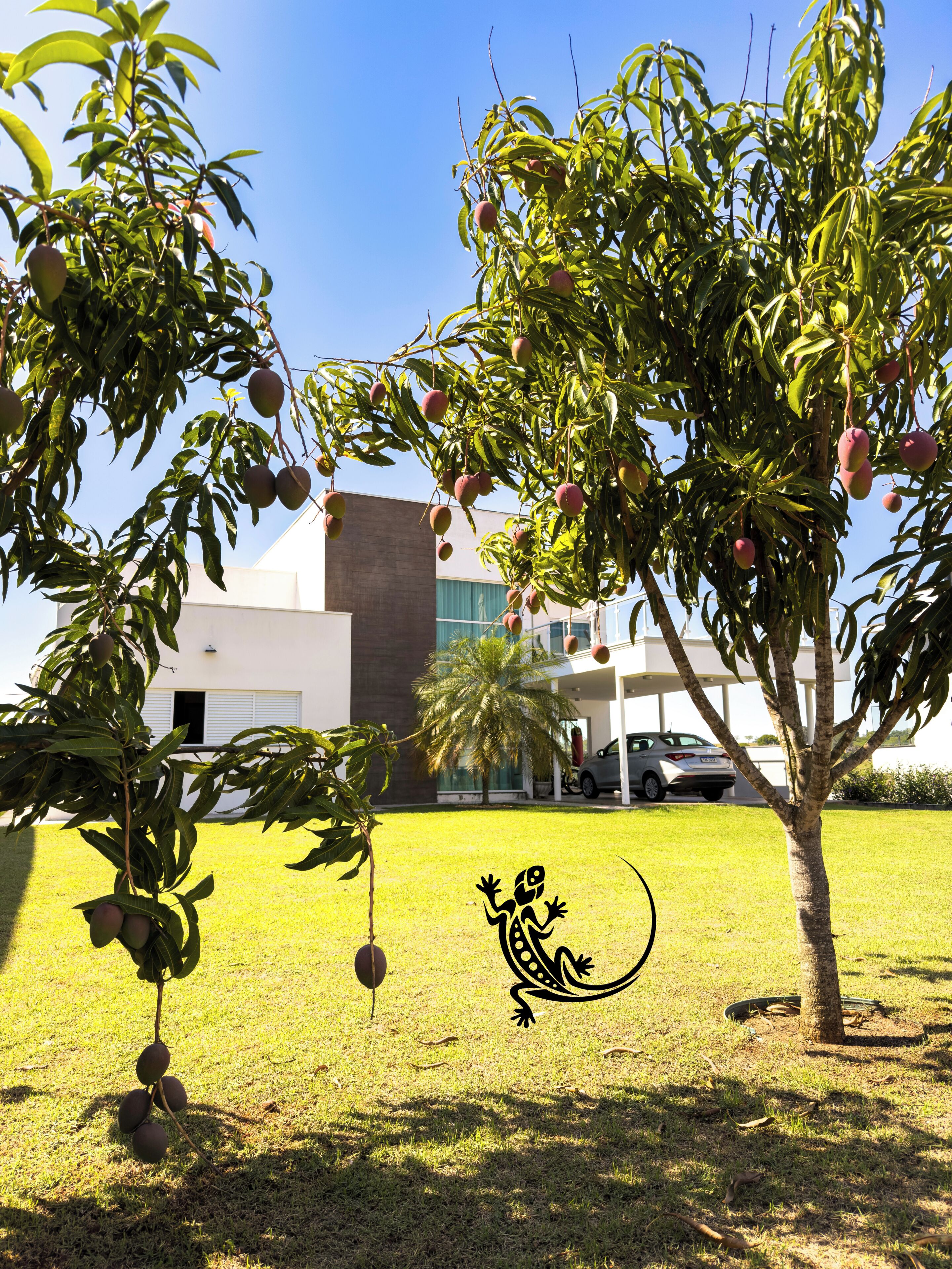A building with a modern architectural style, a well-maintained lawn, and fruit-bearing trees.