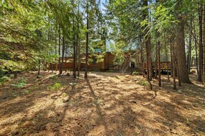 A cabin surrounded by tall trees in a forest.