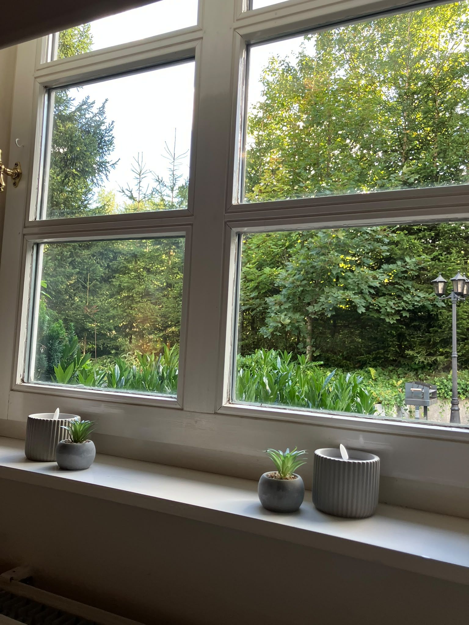 Een raam met veel ruitjes met uitzicht op een tuin vol planten en bomen.