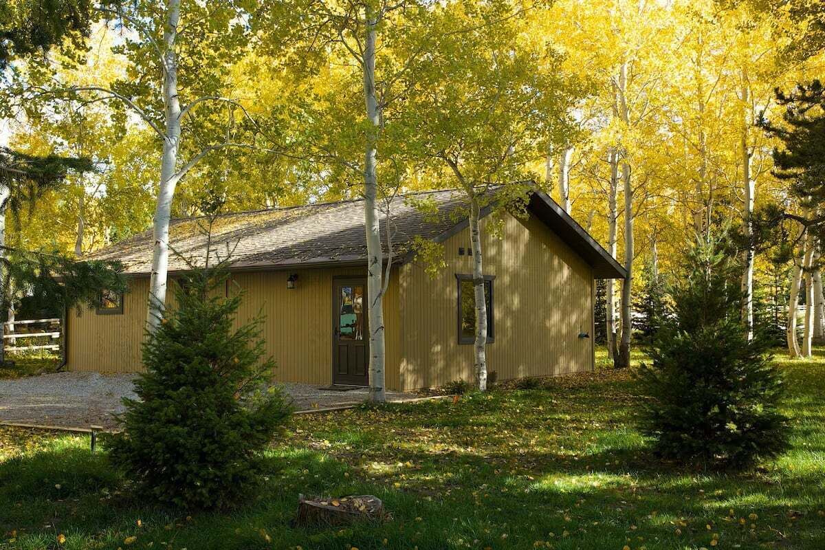 Une cabane en bois, dotée d’un toit en pente, entourée d’arbres aux feuilles jaunes, signe de l’automne.