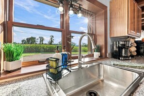 A kitchen with a stainless steel sink, a coffee machine, and a window overlooking a green landscape.