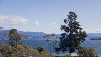 A coastal landscape with a prominent tree in the foreground, a body of water, and distant mountains.