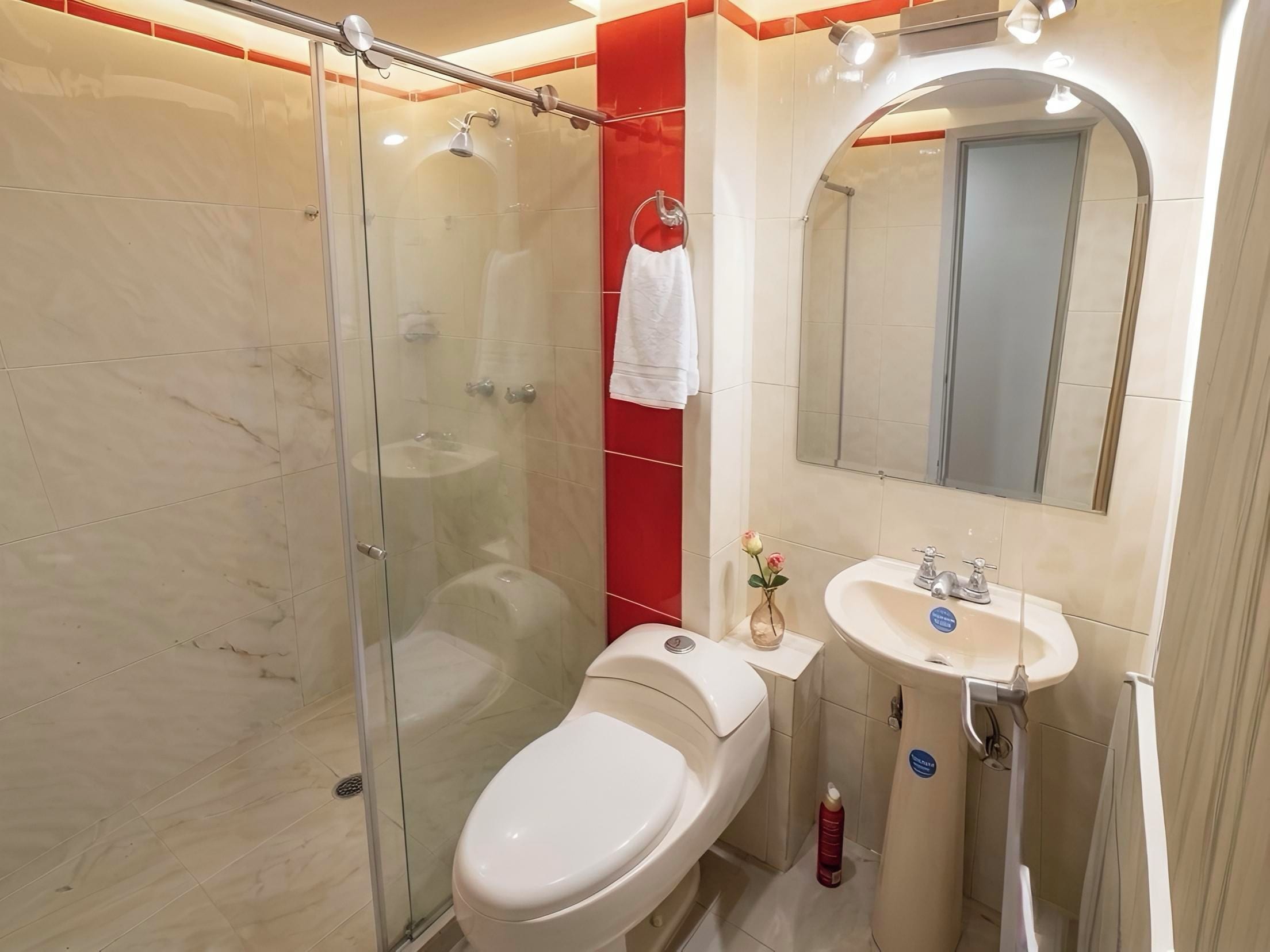 Hair dryer, towels, soap, shampoo
