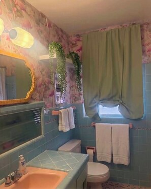 Hair dryer, towels, soap, toilet paper - Fabulous 2-bedroom bungalow with AC in sunny Clearwater (Clearwater)