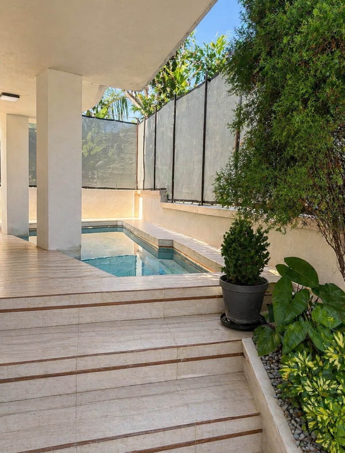Un espace piscine extérieur moderne, offrant une vue dégagée sur la piscine, agrémenté d’une plante en pot et d’un chemin de pierre menant à la piscine.