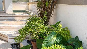 A modern outdoor area with a concrete staircase, a large tree, and various potted plants.