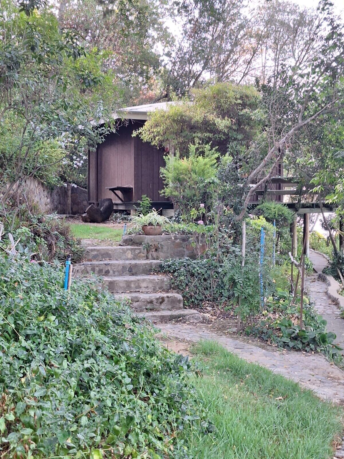 Una estructura de madera rústica con una escalera de piedra que lleva hacia ella, rodeada de exuberante vegetación y un sendero pavimentado.