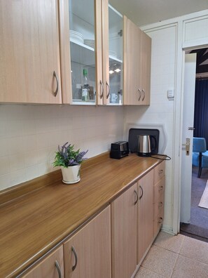 A kitchenette with wooden cabinets, a countertop, and a small potted plant.