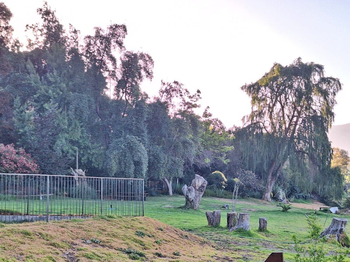 Un espace extérieur clos, agrémenté d’arbres, d’une pelouse et d’une grande formation rocheuse.