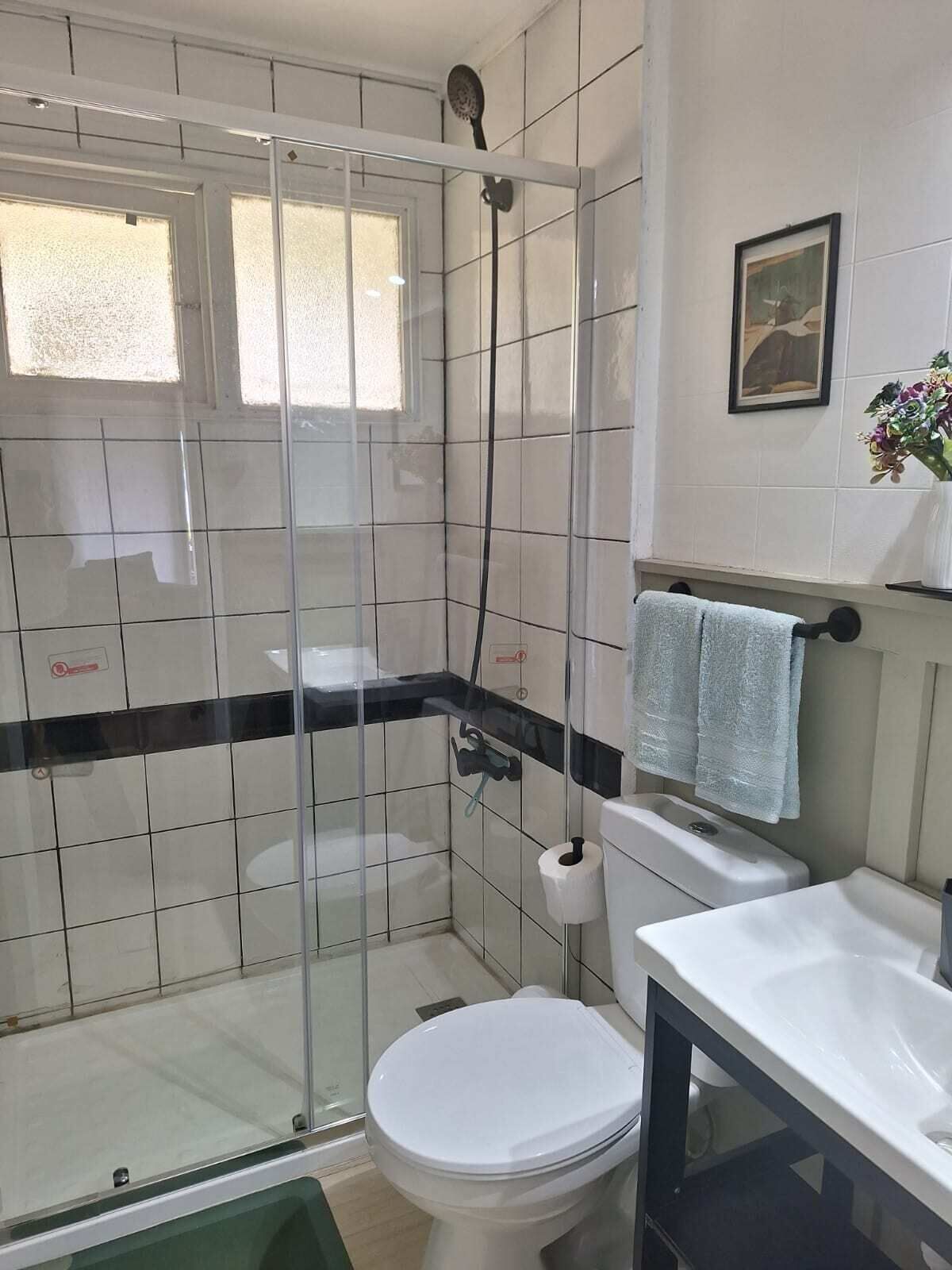 Un baño con ducha de vidrio, inodoro y lavamanos.