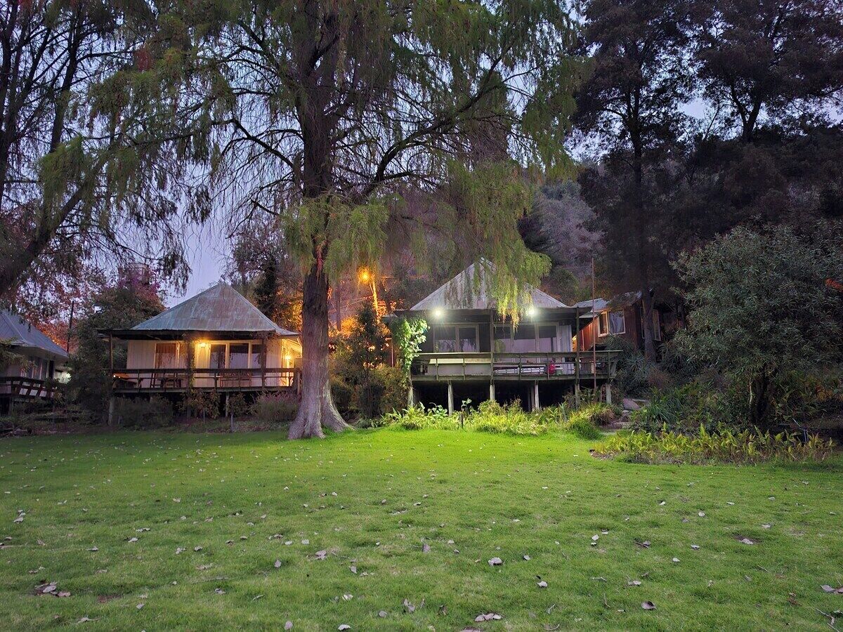 Una propiedad residencial con un césped amplio, una casa con terraza y un árbol en primer plano.