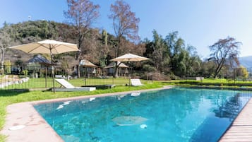 A swimming pool with lounge chairs and umbrellas, surrounded by a fence and trees.