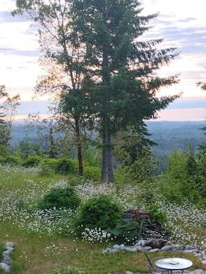 A natural landscape with a large tree, white flowers, and a view of distant mountains. - Top of the world lookout cabin, with a 360% view, Olympic Mountains to the sea. (Port Angeles)