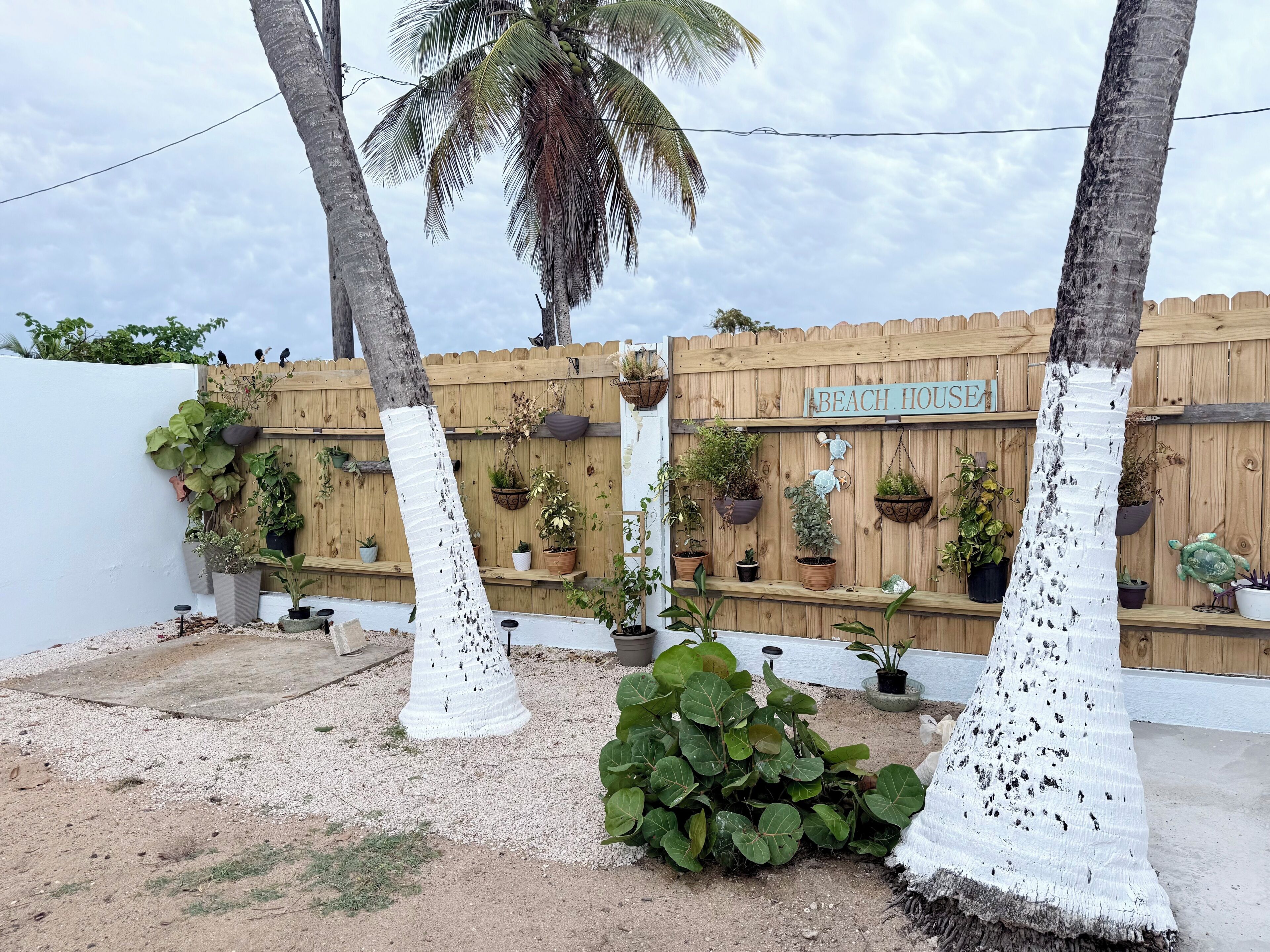 Een houten hek met een 'BEACH HOUSE' bord, bloempotten en een palmboom.