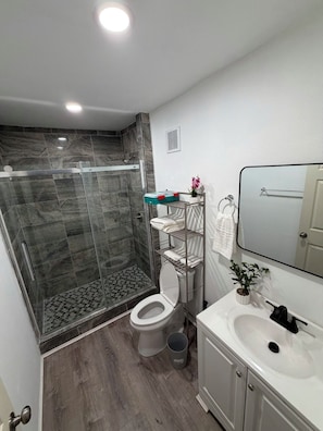 A modern bathroom with a glass shower enclosure, a toilet, a sink with a mirror, and a small plant.