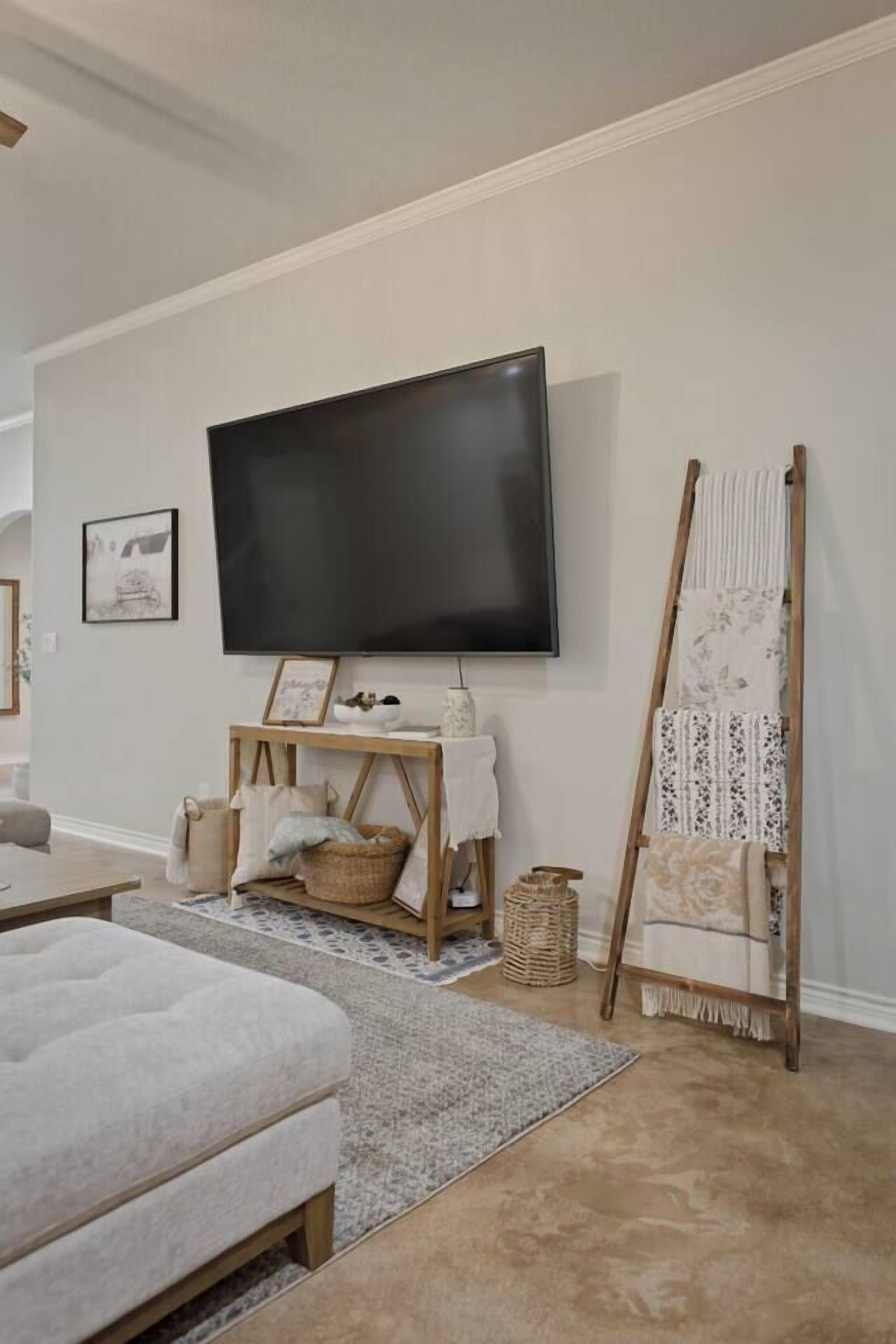 TV, fireplace, books