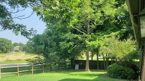 A well-maintained grassy area with a fenced pathway, a large tree, and a hedge. - Spacious Bixby Home w/ Fire Pit & Sleeps 12+ (Bixby)