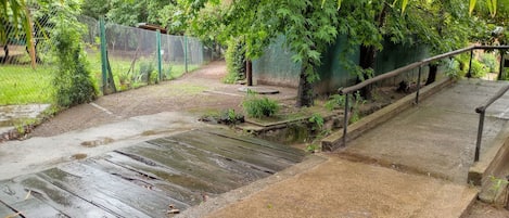 Un sendero de madera húmedo que conduce a un área verde con cerco, una banca y un pequeño jardín.