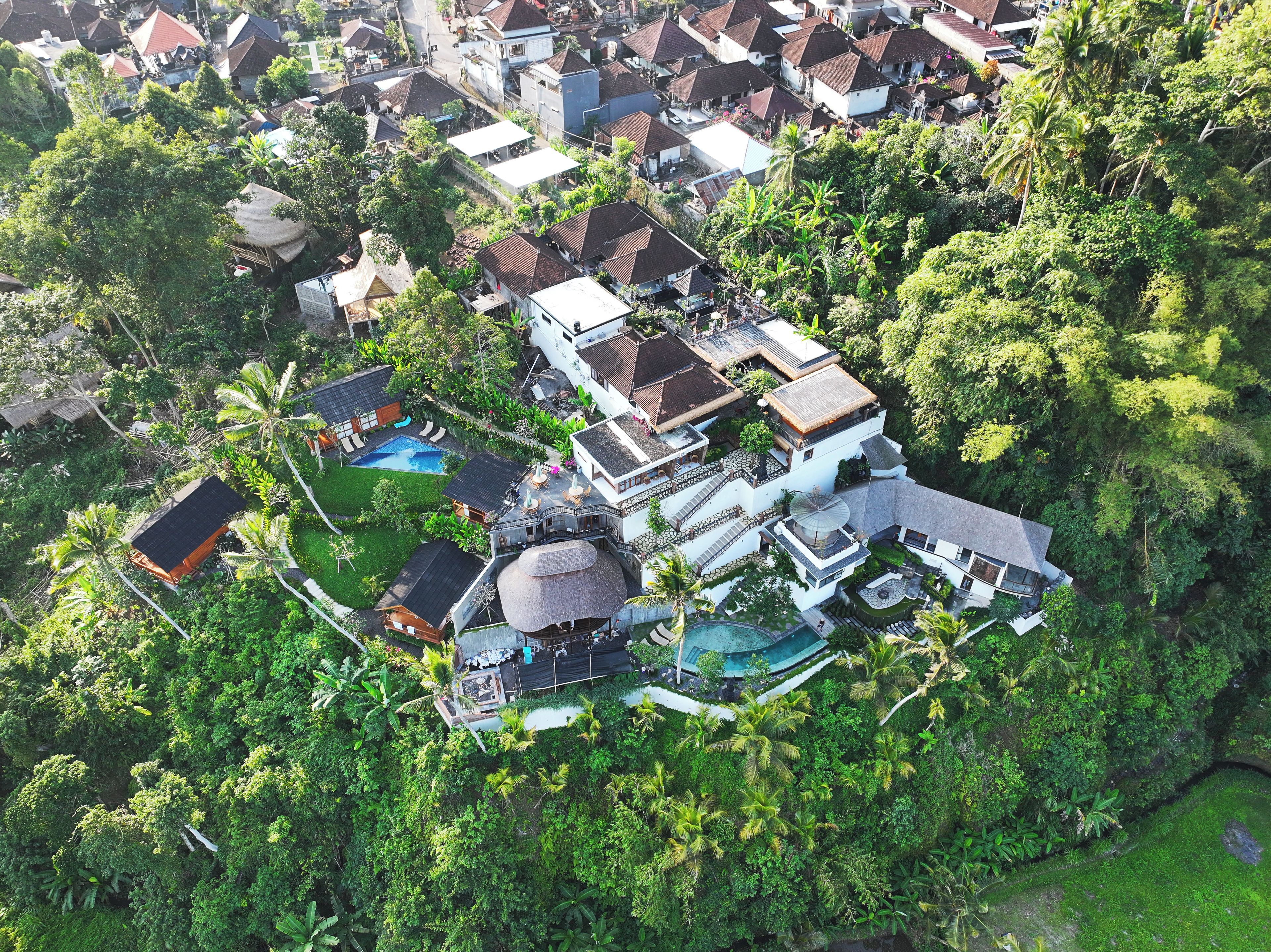 Vista aérea de una zona residencial con varias casas, una piscina y abundante vegetación.