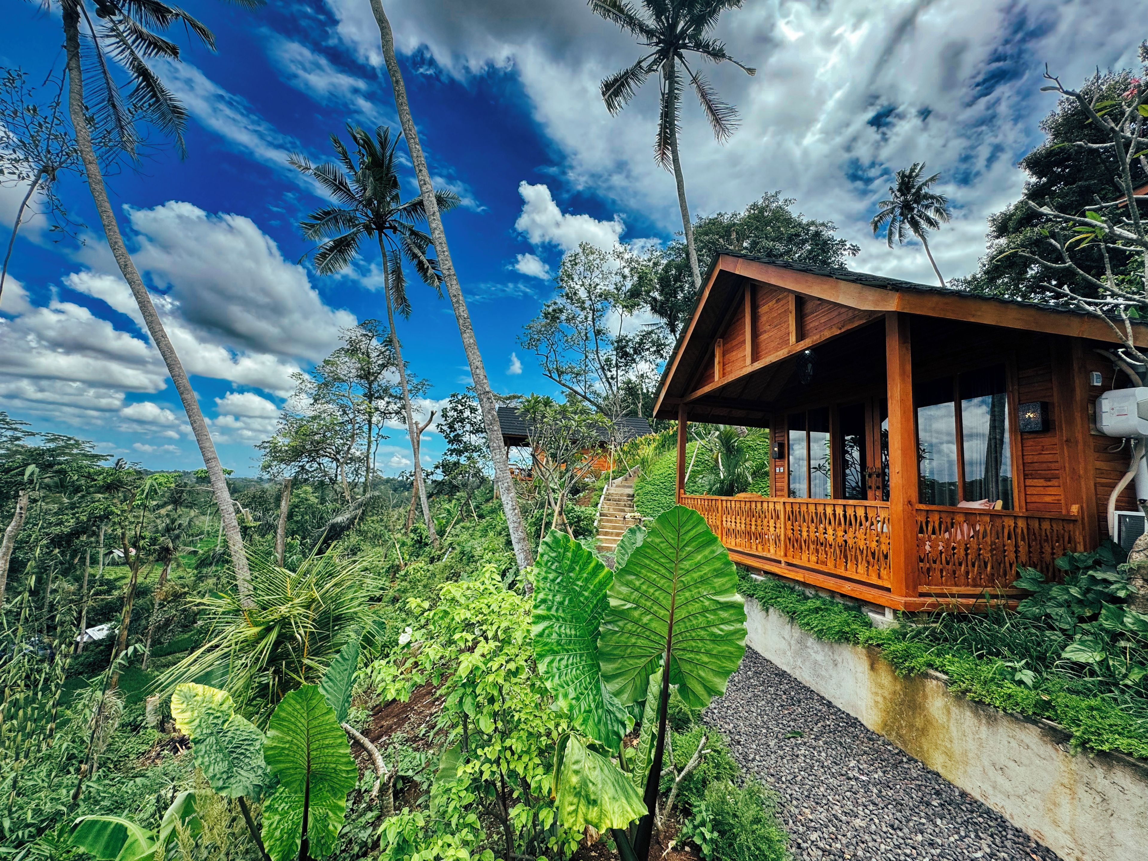 A wooden cabin with a balcony, surrounded by lush greenery and palm trees.