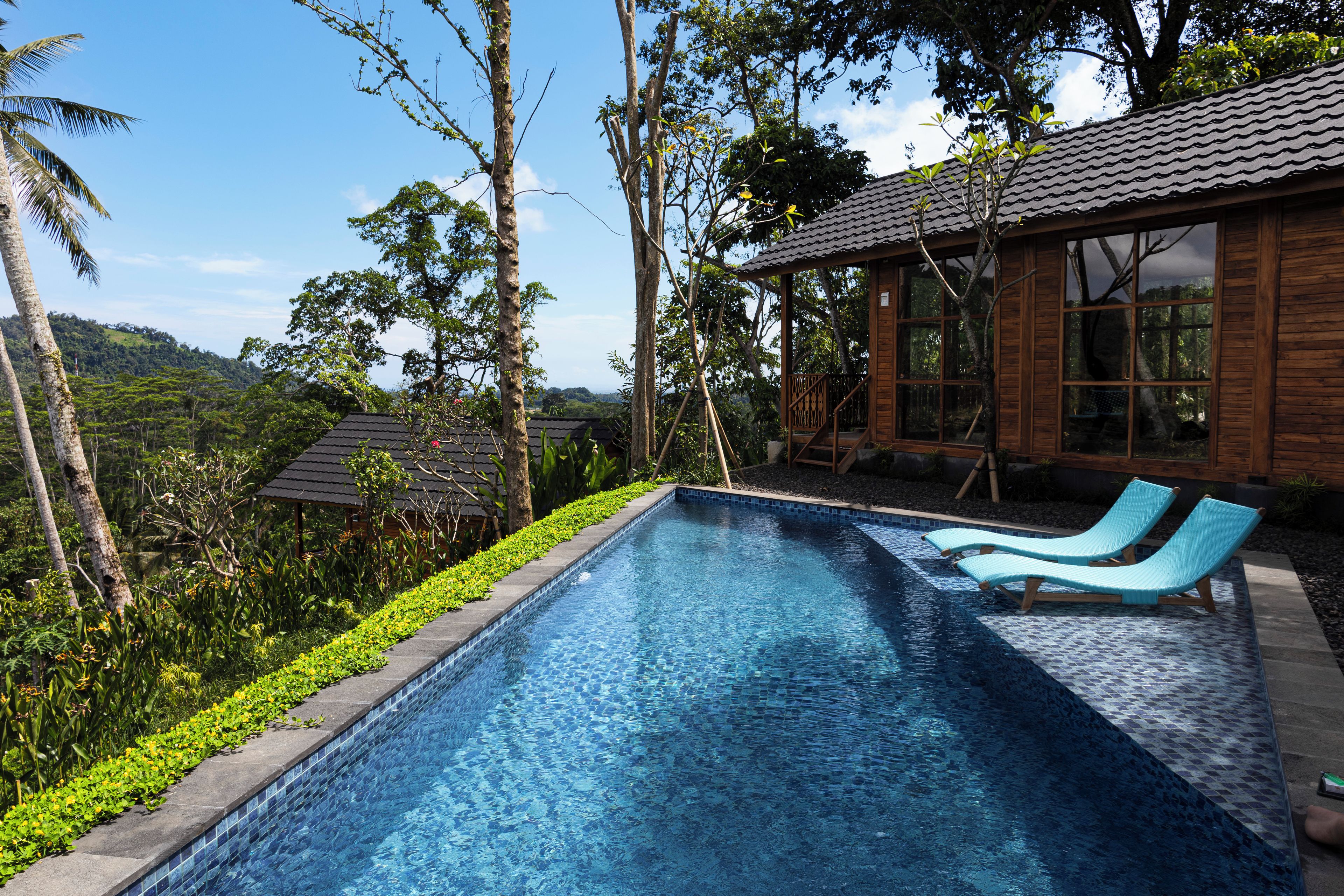 A swimming pool with two lounge chairs, surrounded by tropical vegetation and a wooden building.