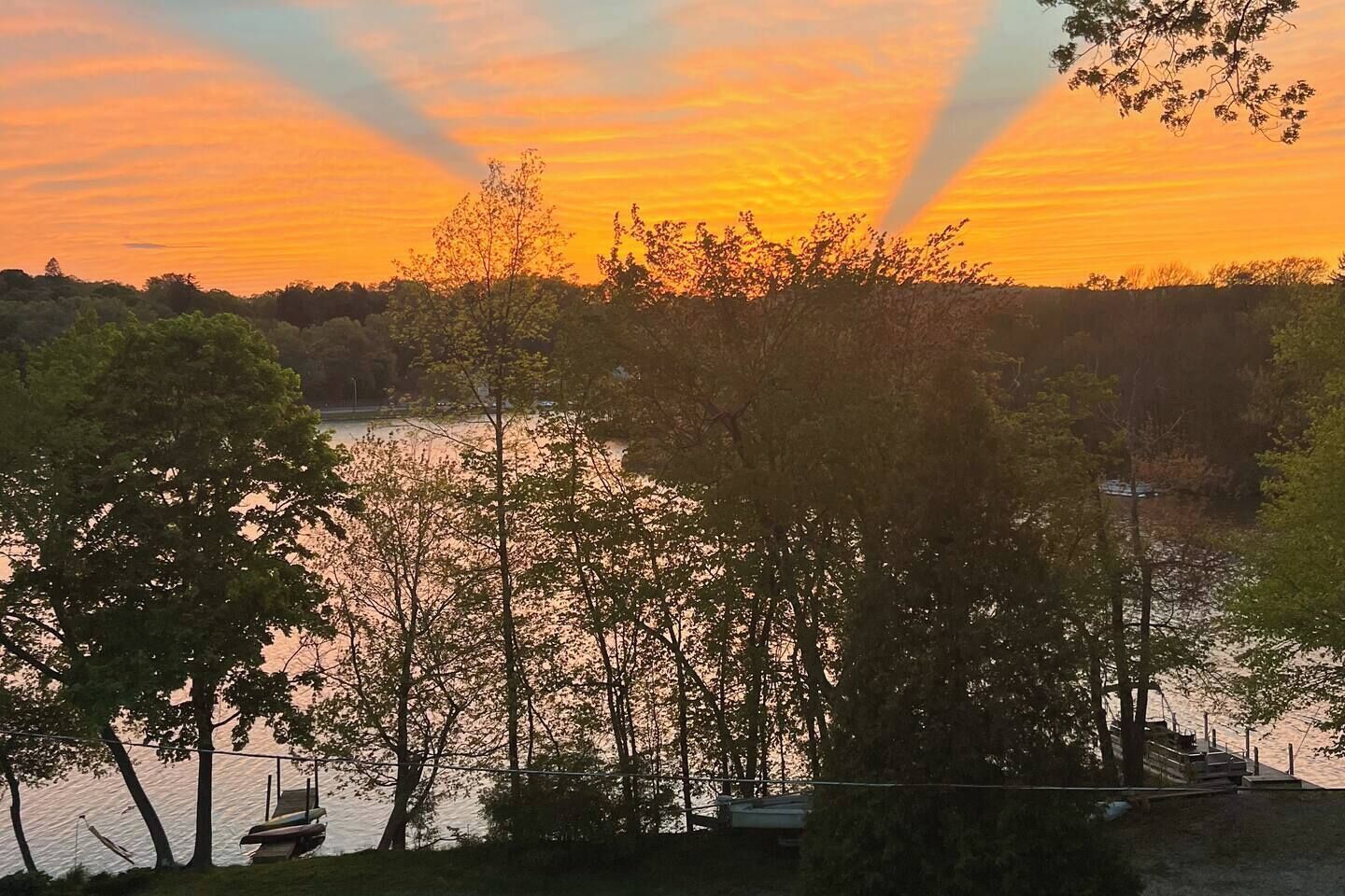 Un tramonto su un corpo d'acqua, con alberi sullo sfondo.