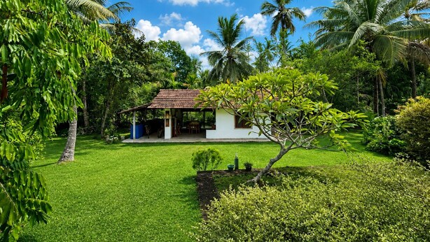 Uma casa com telhado de cerâmica, rodeada por vegetação exuberante e palmeiras.