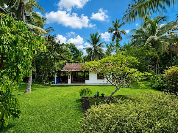A house with a tiled roof, surrounded by lush greenery and palm trees.