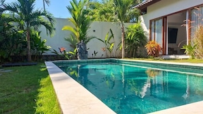 A swimming pool with a clear blue water surface, surrounded by a variety of tropical plants and a stone feature.