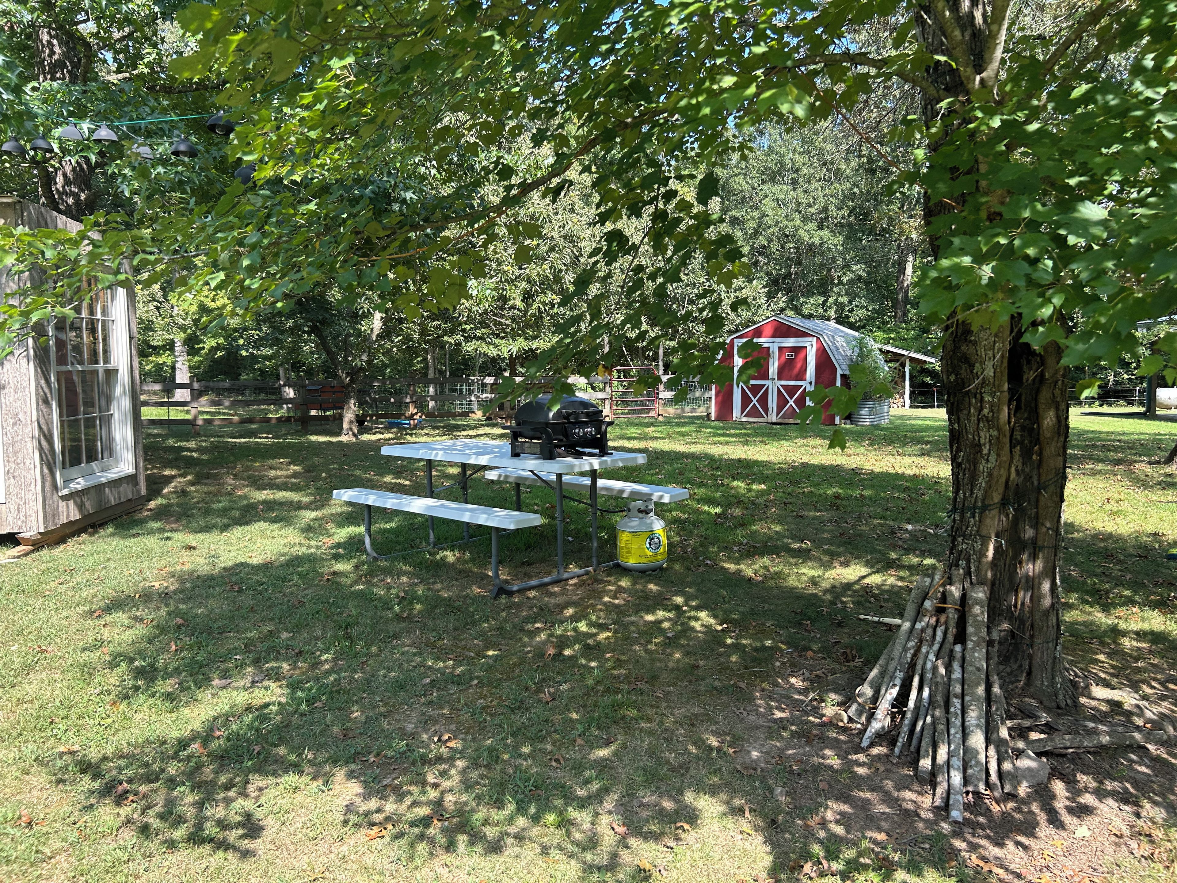 Een picknicktafel met een barbecue en propaanfles, omringd door gras en bomen.