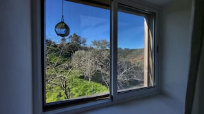 Una ventana con vistas a un paisaje verde y árboles.