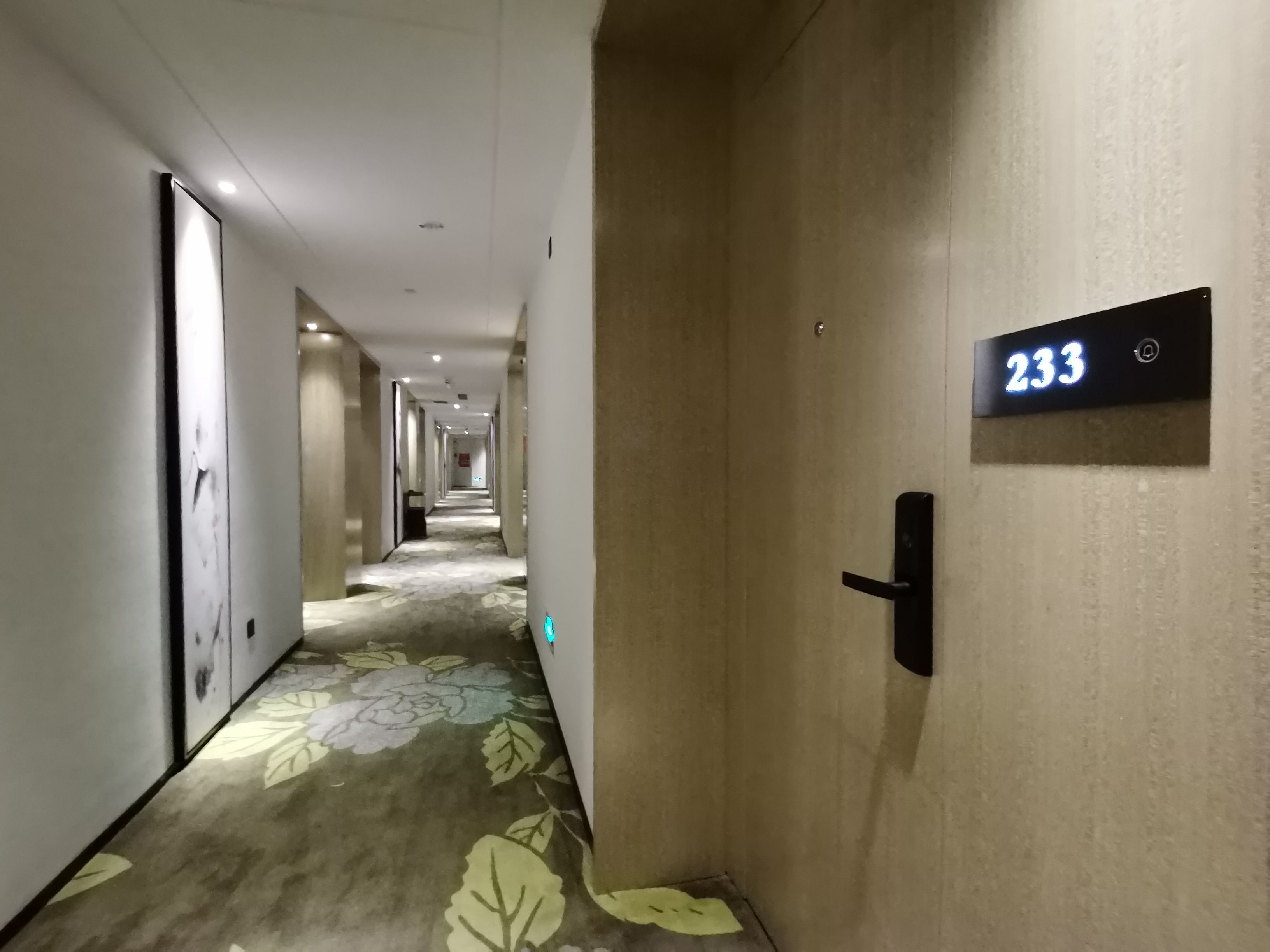 A hotel hallway with a carpeted floor, a door with a number sign, and a door handle.