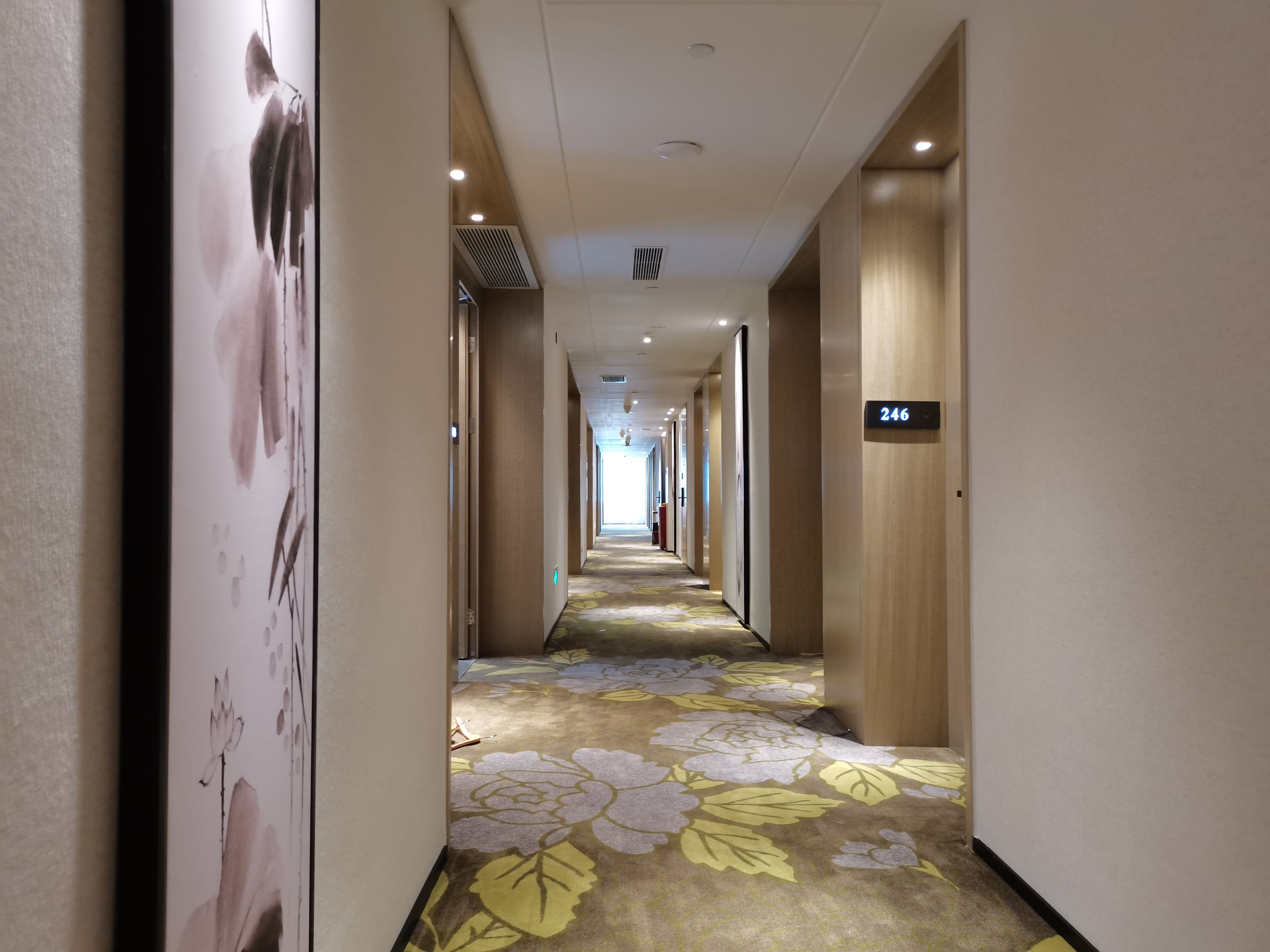 Ein Hotelgang mit einem floralen Teppich, Holzwänden und einem Schild, das Zimmer Nummer 246 anzeigt.