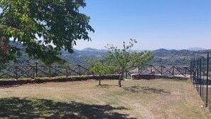 A vineyard with a stone wall and metal fence, overlooking a hilly landscape. - Villa Elsa, with a pool and breathtaking views of the Roman countryside (Lazio)