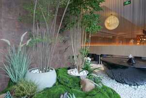 Un jardín interior moderno con diversas plantas, una fuente de agua y una zona de estar.