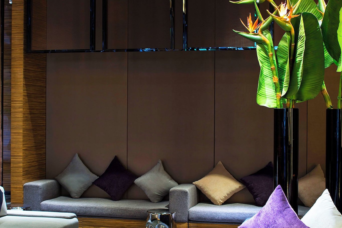 Espaço de convivência moderno com sofá, tapete decorativo e uma planta alta em vaso.