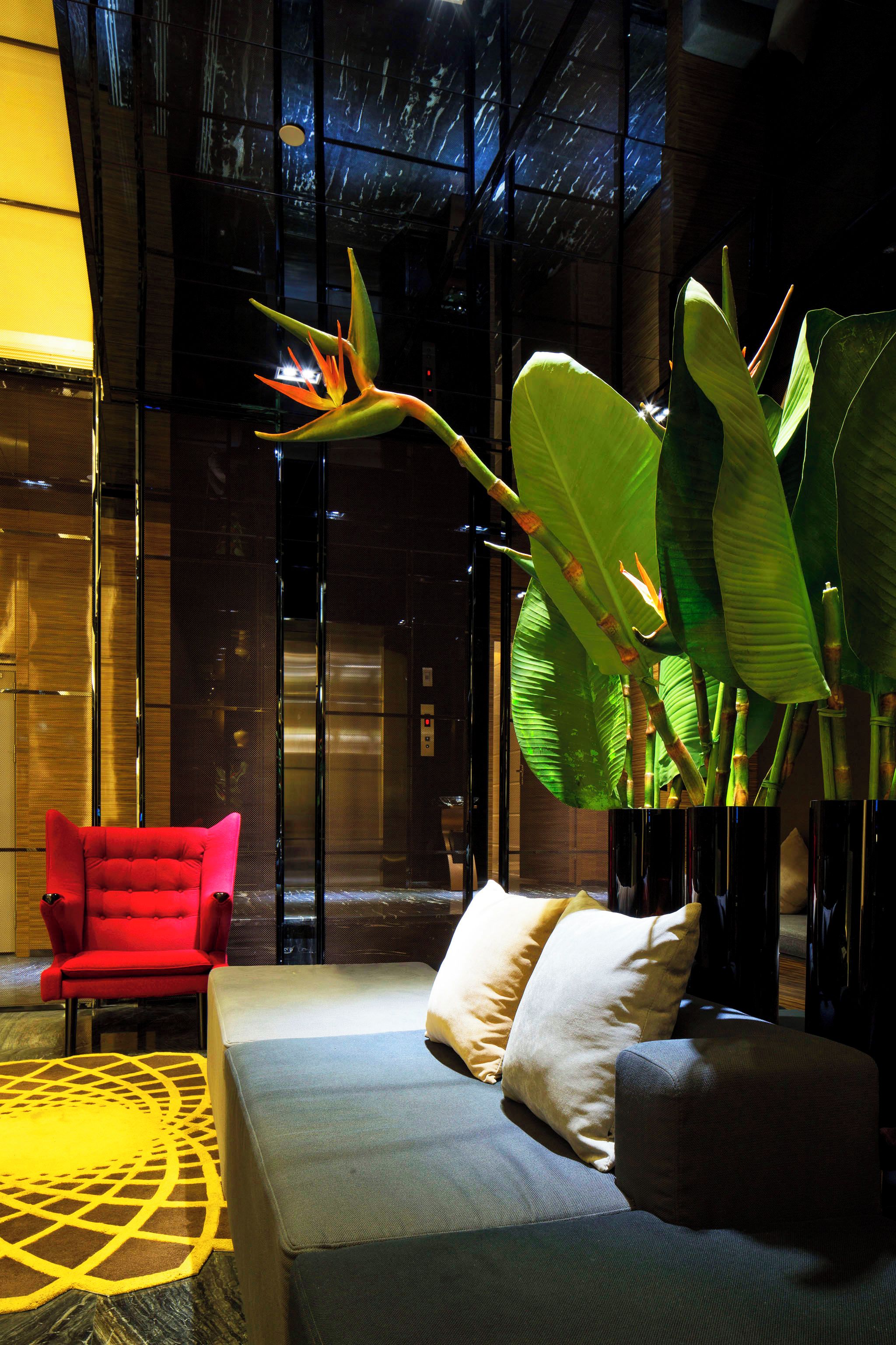 Un interior moderno con sofá, una silla roja y una planta grande en maceta.