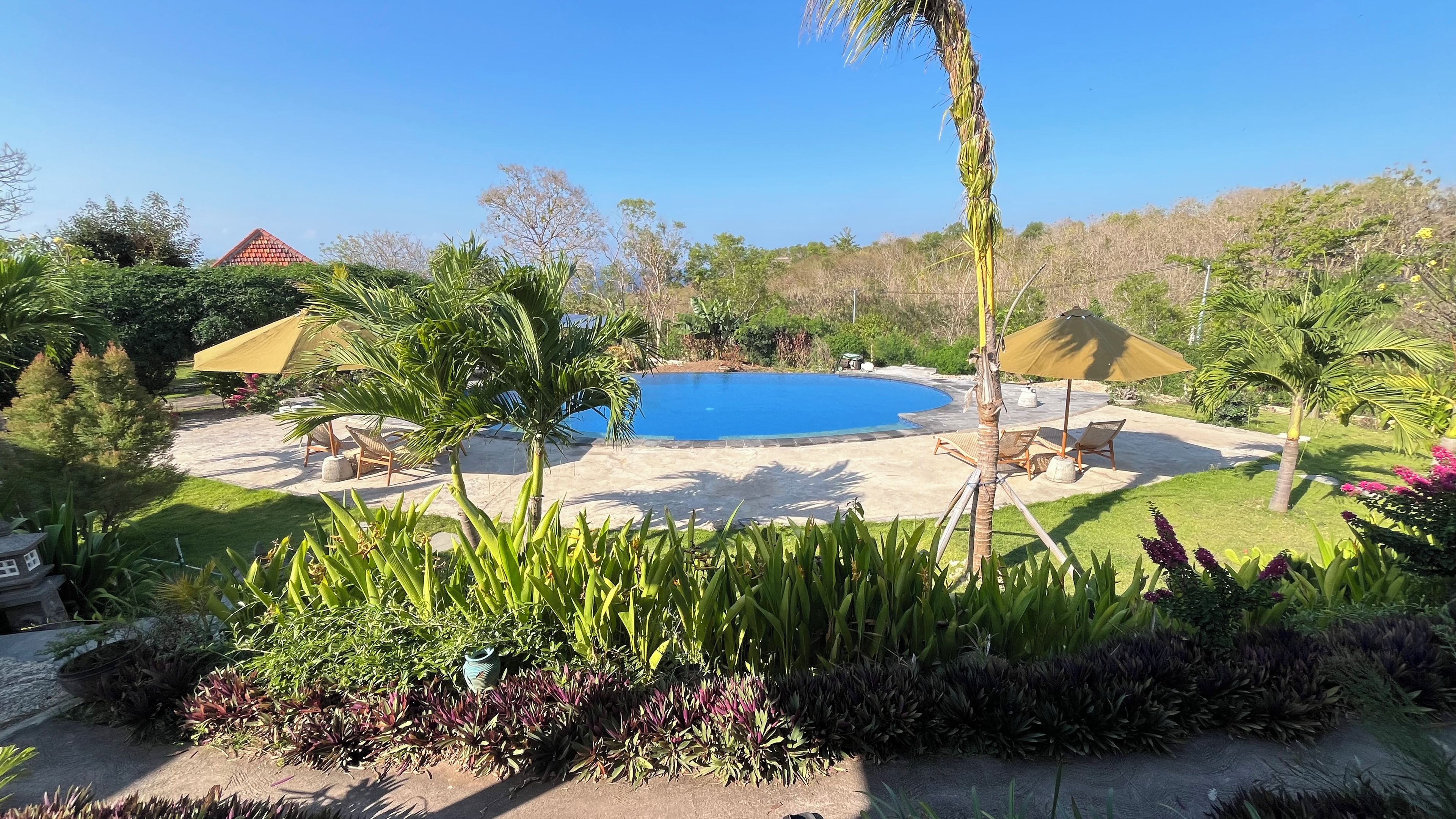 A swimming pool surrounded by palm trees and lounge chairs.