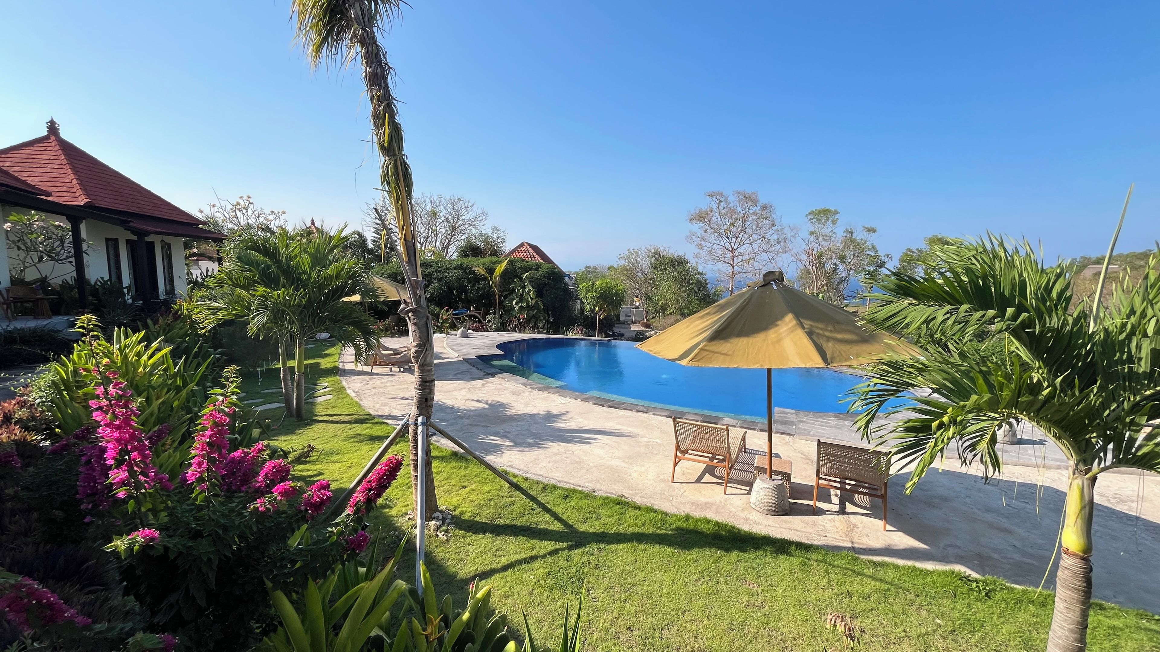 A swimming pool with a sunshade, surrounded by a well-maintained lawn and various plants.