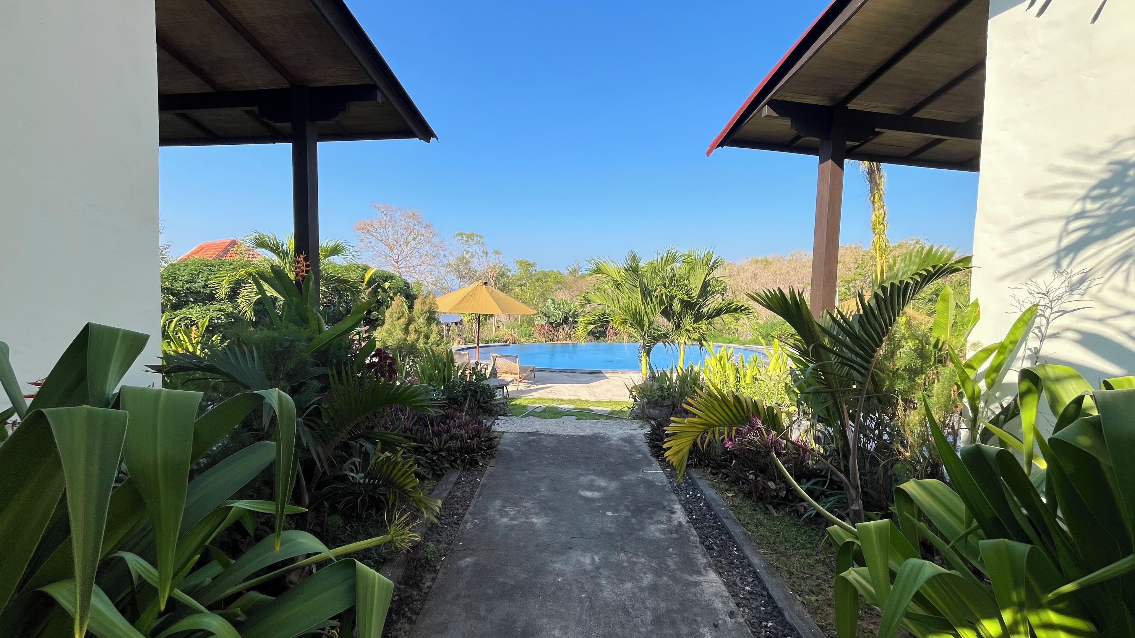 A pathway leading to a pool area with tropical plants and a clear blue sky.