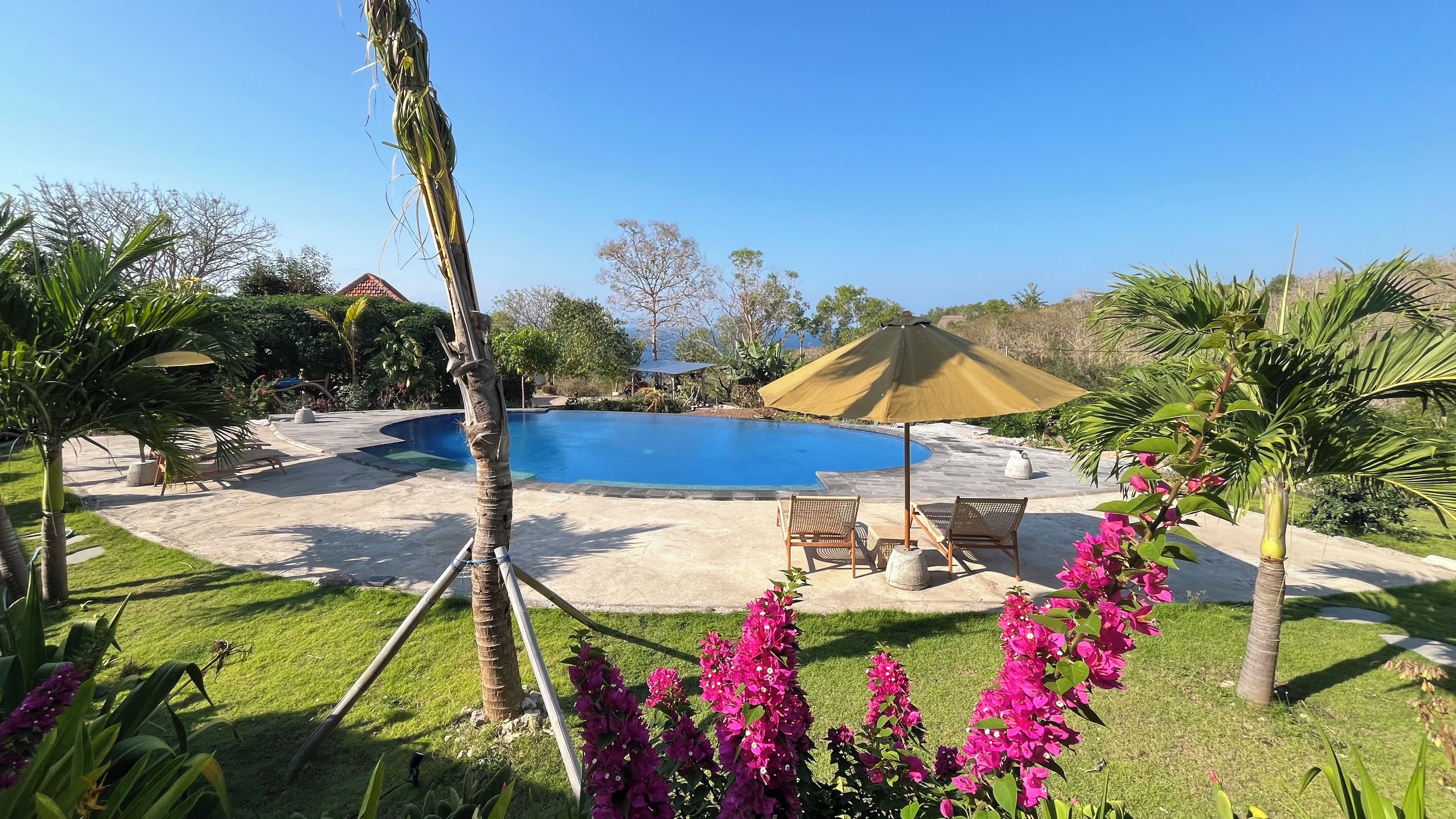 A swimming pool with lounge chairs and a covered area, surrounded by greenery and a clear sky.