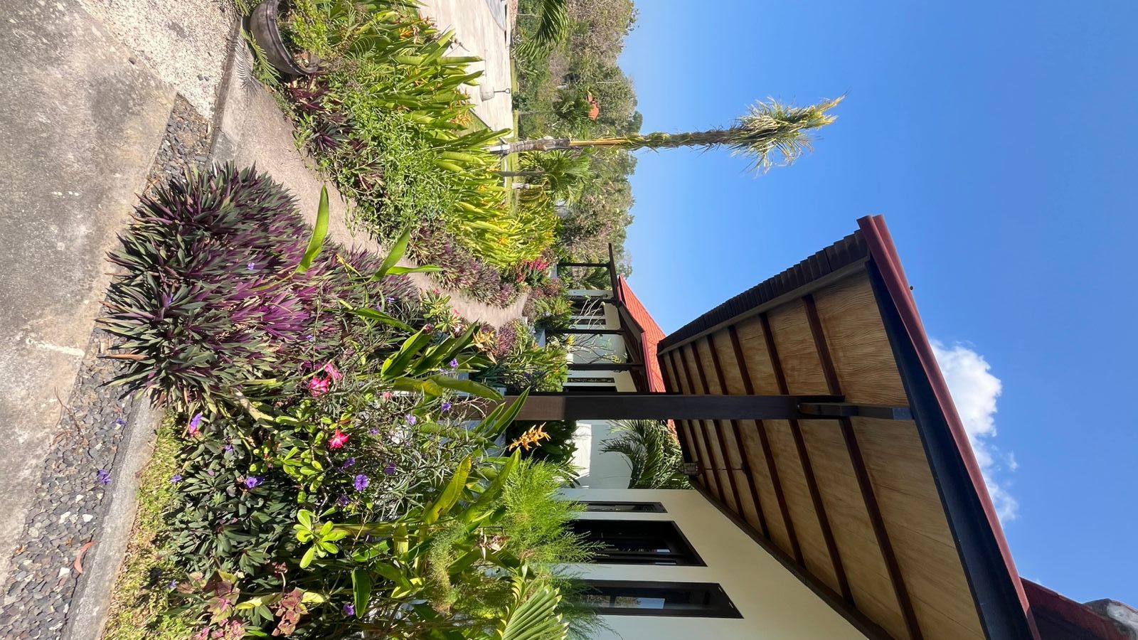 A building with a sloped roof and a garden with various plants and flowers.