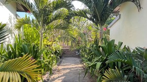 Un sendero pavimentado bordeado por exuberante vegetación tropical y un muro de piedra al fondo.