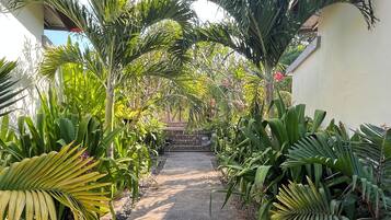 A paved pathway flanked by lush tropical plants and a stone wall in the background.