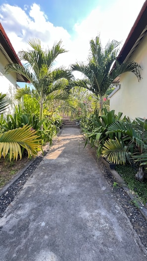 A paved pathway flanked by lush tropical plants and a stone wall in the background. - The Hills Penida (Klungkung)