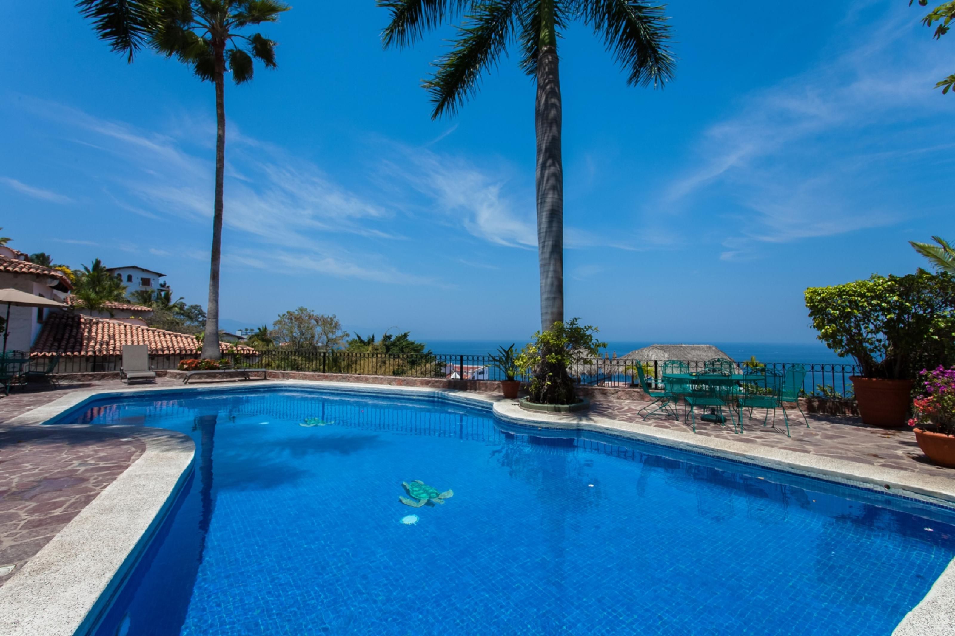 Piscina azul límpida com uma tartaruga, rodeada por palmeiras e vista para o oceano.