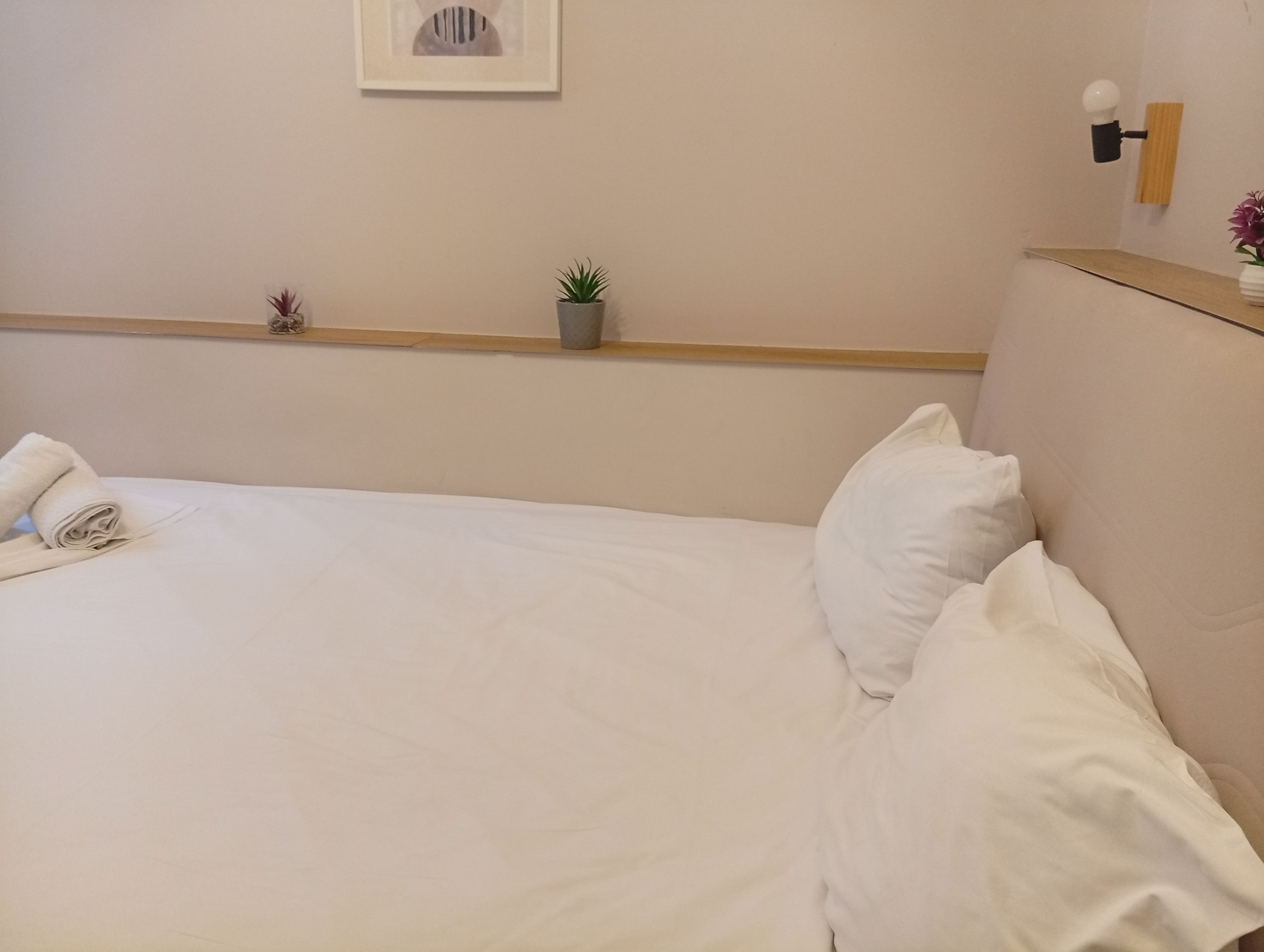 A neatly made bed with white linens, a small potted plant on the nightstand, and a framed picture on the wall.