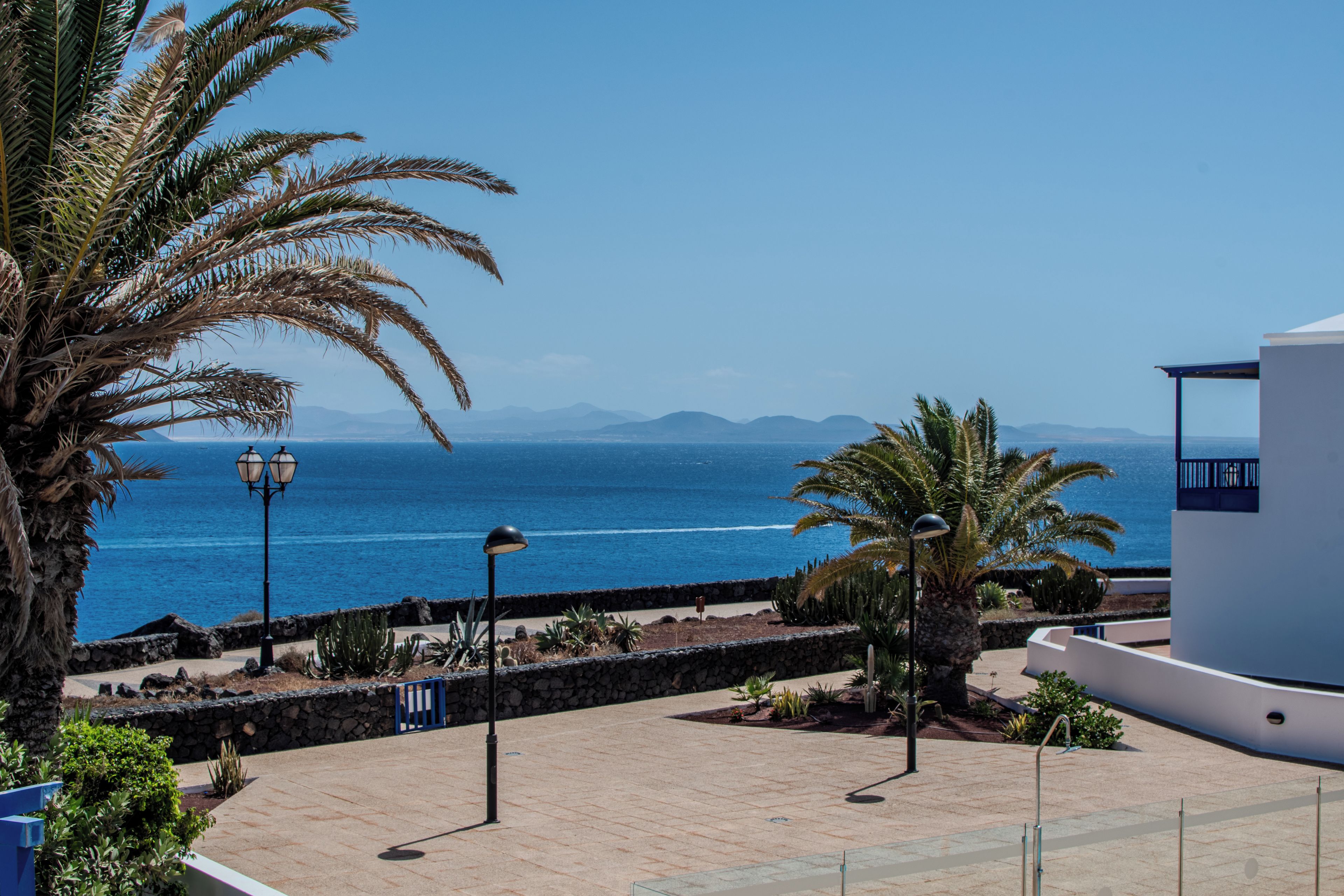 Une vue sur la côte, avec une promenade dallée, des palmiers et une mer d’un bleu limpide.